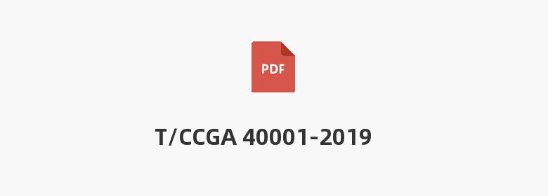 T/CCGA 40001-2019